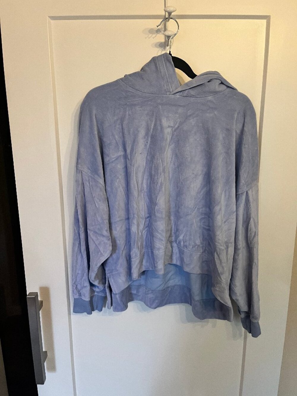 Aerie Plush Velour Hoodie Oversized Light Blue Size L